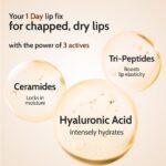 Chemist At Play Natural Lip Balm for Chapped & Pigmented Lips | SPF 50 PA++++ & Kojic Acid - Image 4