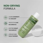 Bare Anatomy Anti-Dandruff Shampoo with Salicylic Acid, Piroctone Olamine & Biotin - Image 11