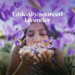 Love Beauty and Planet Argan Oil & Lavender Sulfate Free Anti-Frizz Shampoo - 400 ML - Image 7