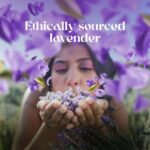 Love Beauty And Planet Argan Oil and Lavender Natural Conditioner for Dry & Frizzy hair| - 400 ML - Image 5