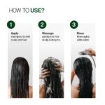 Bare Anatomy Anti-Dandruff Shampoo with Salicylic Acid, Piroctone Olamine & Biotin - Image 6