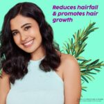 The Plant Fix Plix PLIX Rosemary Advanced Anti Hair Fall Conditioner With Rosemary For Reducing Hair Loss, Breakage - 175ml - Image 8