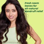 The Plant Fix Plix Neem Anti-Dandruff Advanced Shampoo - 200 ML - Image 2