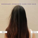 Naturali Anti Hairfall Shampoo | 3x Hair fall Control | With Rosemary, Biotin and Ginseng - 370ml - Image 8