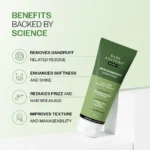 Bare Anatomy Anti-Dandruff Hair Conditioner with Salicylic Acid, Biotin & Rosemary - Image 7
