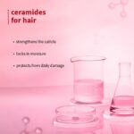 Plum Hibiscus & Ceramides Long & Healthy Shampoo - 250 ML - Image 5