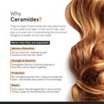 Minimalist Hair Serum for Dry Frizzy Hair with SPF 30, Keratin, Argan Oil & Ceramides - 50ml - Image 3