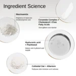 The Formularx Barrier Relief Lightweight Ceramide Moisturizer - 50gm - Image 5